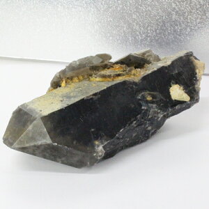 y傫 TCY iɎM _zI  I    ׋C  NX^[ u I p[Xg[ NX^[ VR Y fB