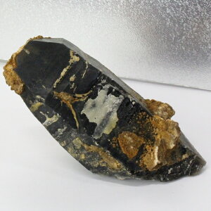 I  I Morion    ׋C  NX^[ u   CeA  I Y fB[X lC  VR COA I