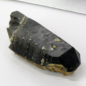 yiɎM _zI   I   ׋C  NX^[ u I p[Xg[  VR Y fB[X lC I