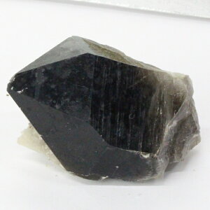 yꋉi̋P I_zI  I Morion  NX^[   ׋C  u I VR  lC  p[Xg[ _ I