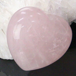 yꋉi̋P I_z[YNH[c  g sN [YNH[c n[g ^u   n[g^  [YNH[c  p[Xg[  lC 