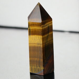 �y�ꋉ�i���I��_���z�^�C�K�[�A�C �|�C���g ���^ �K�^ �����^ Tigereye �L���b�c�A�C �^�C�K�[�A�C ���� �� �|�C���g �u�� �� �^�C�K�[�A�C�|�C���g �p���[�X�g�[�� ���� �V�R�� �����Y ���f