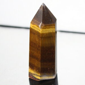 �y�i���Ɏ��M���� ��_�������z�^�C�K�[�A�C �|�C���g ���^ �K�^ �����^ �� �^�C�K�[�A�C ���� �� �|�C���g �u�� �� �^�C�K�[�A�C�|�C���g �V�R�� ���� �l�C �������� �p���[�X�g�[�� ��_��