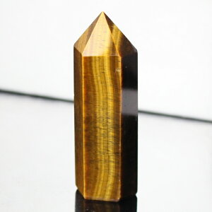 �^�C�K�[�A�C �|�C���g ���^ �K�^ �����^ �� Tigereye �L���b�c�A�C �Ֆڐ� �^�C�K�[�A�C ���� �� �|�C���g �u�� �� �z�� Point �^�C�K�[�A�C�|�C���g �����Y ���f�B�[�X ���� ��_�� �p���[�X�g