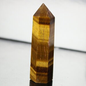 �^�C�K�[�A�C �|�C���g ���^ �K�^ �����^ �� �^�C�K�[�A�C ���� �� �|�C���g �u�� �� �z�� �N���X�^�[ �C���e���A Point �^�C�K�[�A�C�|�C���g �p���[�X�g�[�� ���� �V�R�� �����Y ���f�B�[�X 