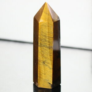 �y�ꋉ�i���I��_���z�^�C�K�[�A�C �|�C���g ���^ �K�^ �����^ �� �^�C�K�[�A�C ���� �� �|�C���g �u�� �� �^�C�K�[�A�C�|�C���g �p���[�X�g�[�� ���� �V�R�� �����Y ���f�B�[�X �l�C �^�C�K