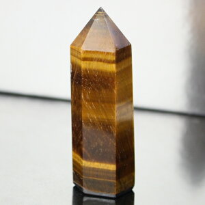 �^�C�K�[�A�C �|�C���g ���^ �K�^ �����^ �� �^�C�K�[�A�C ���� �� �|�C���g �u�� �� �z�� �N���X�^�[ �C���e���A Point �^�C�K�[�A�C�|�C���g �����Y ���f�B�[�X �l�C �������� �V�R�� �C�O��