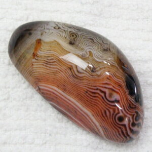 yQ _z  ߂̂ AQ[g    mE  ^u  팴 Y fB[X lC  VR COA 