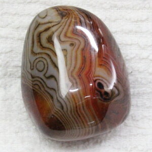 y_z   AQ[g   mE  ^u  팴 p[Xg[  VR Y fB[X lC 