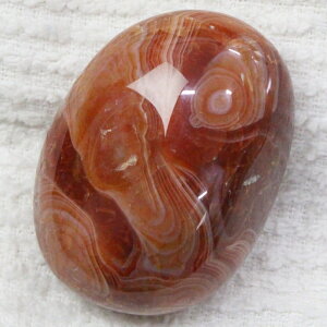 yꋉi̋P I_z  ߂̂ AQ[g    mE ^u   팴 p[Xg[  lC  VR COAi 