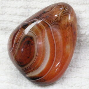 yꋉi̋P I_z   ߂̂ AQ[g   mE  ^u  팴 p[Xg[  lC  VR COAi 