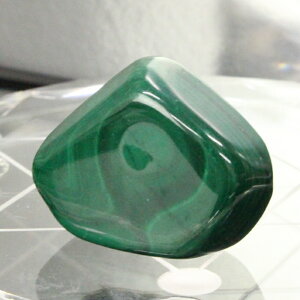 yQ _z}JCg  Malachite E }JCg      yВܕtz }JCg COAi LuLu HouseinEX ͂
