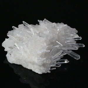 yꋉi̋P I_z NX^[ Crystal NH[c  NX^  z u 򉻗p  NX^[ NX^[ COAi LuLu HouseinEX ͂