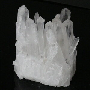 yꋉi̋P I_zNX^[   NX^  򉻗p VR z u  NX^[ NX^[ p[Xg[ uXbg VR Y 