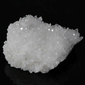 yiɎM _z NX^[ NX^ NH[c   z z 򉻗p VR u  NX^[  Cluster NX^[ p[Xg[ uXbg