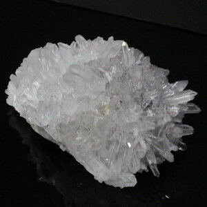 yꋉi̋P I_zyrbNTCY 傫 TCYz NX^[ NX^ NH[c   VR z u 򉻗p  NX^[ NX^[ VR u