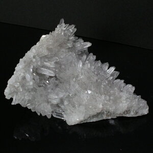 yrbNTCY 傫 TCYzy_z NX^[  NX^ u 򉻗p  NX^[ VR uXbg lC  p[Xg[ _ 