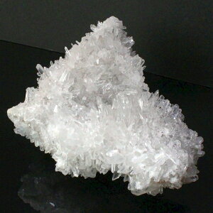 yIꋉi Q̓ƋP _zy傫 TCYz NX^[ NX^ NH[c   򉻗p  NX^[ Y fB[X lC  VR 