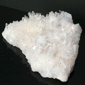 yIꋉi Q̓ƋP _zy傫 TCYz NX^[ NX^   z u 򉻗p  NX^[ NX^[ Y fB[X p[Xg