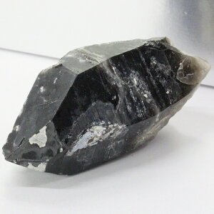 yꋉi̋P I_zI     ObY 򉻗p  I  NX^[ t  I p[Xg[ AWXg VR Y fB[