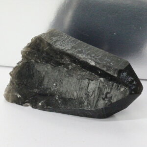 yꋉi̋P I_zI   ObY   򉻗p  I  NX^[ t  I p[Xg[ AWXg VR Y fB[X