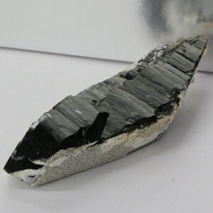 I   ObY   򉻗p I  NX^[  t  I Y fB[X lC   VR I