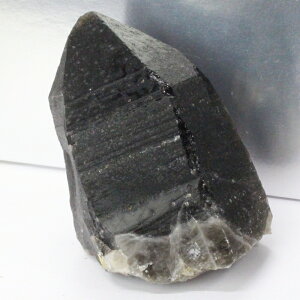 y傫TCYzI   ObY   ׋C I   NX^[ u  CeA  I VR  lC  p[Xg[ 