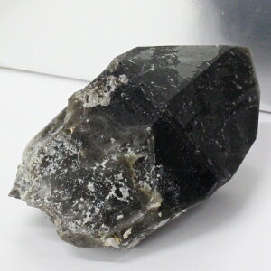 yꋉi̋P I_zI   ObY   򉻗p I  NX^[  u  CeA  I p[Xg[ }JCg VR 