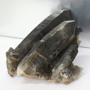 yꋉi̋P I_zy傫TCYzI NX^[ 򉻗p ObY    I   NX^[   INX^[ p[Xg[  