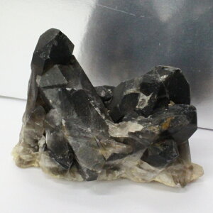 yQ _zy傫TCYzI NX^[  ObY   򉻗p I  NX^[    INX^[ VR  p[Xg[ 