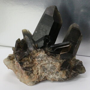 yꋉi̋P I_zI NX^[  ObY   ׋C I   NX^[ t  INX^[ p[Xg[ }JCg lC 