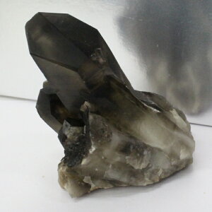 yiɎM _zy傫TCYzI NX^[    ObY 򉻗p  I  NX^[   INX^[ VR }JCg