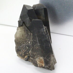 y傫TCYzI NX^[  ObY   򉻗p  I  NX^[ u  CeA  INX^[ p[Xg[ }JCg VR 