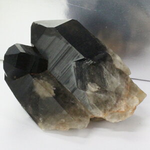 yQ _zy傫TCYzI NX^[ 򉻗p ObY     I NX^[  u  CeA  INX^[ Y f