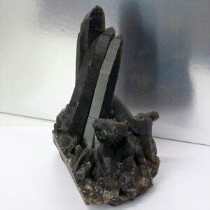 yꋉi̋P I_zy傫TCYzI NX^[  ObY   򉻗p  I  NX^[ t  INX^[ p[Xg[ }J