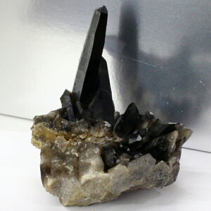 yiI_zy傫TCYzI NX^[  ObY   򉻗p I  NX^[  t  INX^[ VR sXY lC 