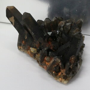 yIi _zy傫TCYzI NX^[ 򉻗p ObY    I   NX^[ u  CeA  INX^[ p[Xg[