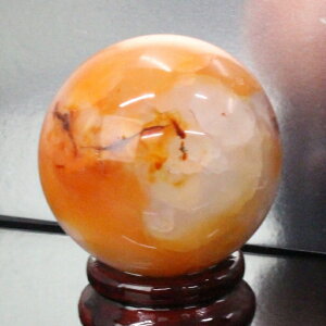 yiɎM _ 56mmzmE ۋ AQ[g ߂̂  Ԏ T[hIjLX ۋ     u mEۋ p[Xg[ ۋ VR Y fB[X lC