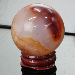 yꋉi̋P I_ 43mmzmE ۋ AQ[g mE ߂̂  Ԏ T[hIjLX ۋ     u mEۋ COAi LuLu HouseinEX ͂