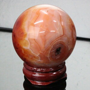 yiɎM _ 43mmzmE ۋ mE AQ[g  Ԏ T[hIjLX    ۋ    mEۋ p[Xg[ ۋ lC  VR C