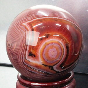 y 67mmzmE ۋ  AQ[g   mE  ۋ    mEۋ VR ۋ p[Xg[  _ mE