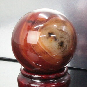 yꋉi̋P I_  55mmzmE ۋ  mE   AQ[g    ۋ    mEۋ p[Xg[ ۋ VR Y fB[X lC 