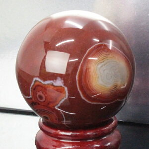 yiI_  60mmzmE ۋ  AQ[g   mE  ۋ    mEۋ VR ۋ lC  p[Xg[ _ mE