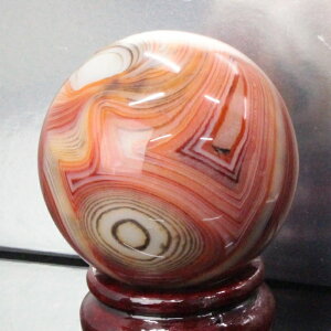 yꋉi̋P I_  58mmzmE ۋ  mE AQ[g   ߂̂ ۋ     u mEۋ p[Xg[ ۋ VR Y fB[X lC 