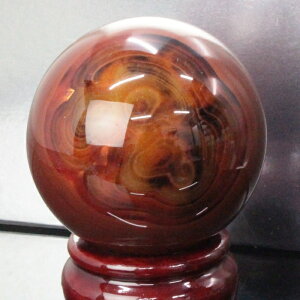 yꋉi̋P I_  59mmzmE ۋ  mE AQ[g   ߂̂ ۋ     u mEۋ Y fB[X VR  _ mE