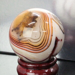 y_ 53mmzmE ۋ  ߂̂   AQ[g ۋ   u  mEۋ p[Xg[ ۋ lC  VR COAi mE