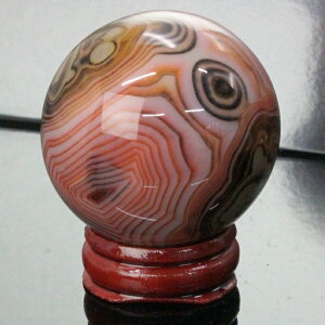 yꋉi̋P I_ 44mmzmE ۋ  AQ[g   mE ۋ     u mEۋ Y fB[X lC  VR COA mE