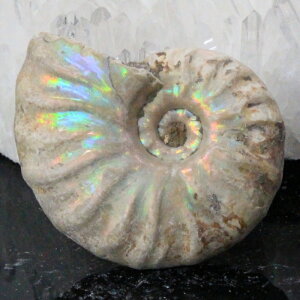 y}_KXJYōi _zAiCg  ɂ ACg C{[ AiCg   AiCg p[Xg[  lC  VR COA