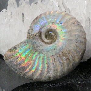 yi}_KXJY _zAiCg  ɂ ACg C{[ AiCg   AiCg p[Xg[  lC  VR COAi A