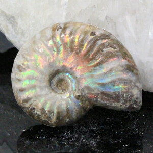 y}_KXJY ꋉi I_zAiCg  ɂ ACg C{[ AiCg   AiCg p[Xg[  lC  VR COA